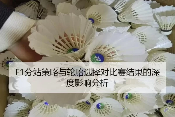 F1分站策略与轮胎选择对比赛结果的深度影响分析